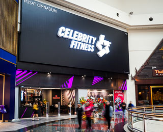 Celebrity Fitness